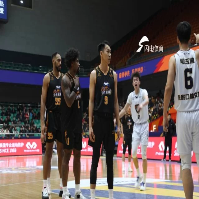 篮球季后赛数据解析：第325组带来的深度分析 专稿第12324期